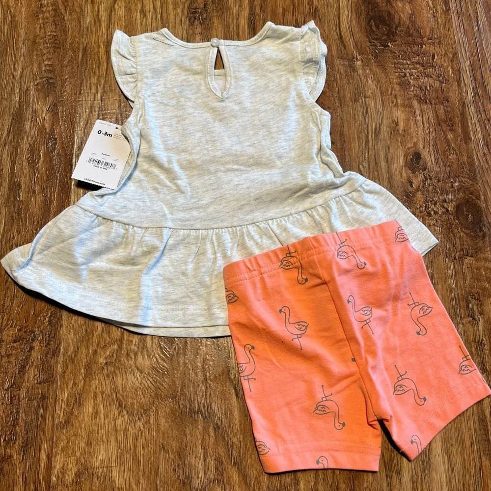 Carter’s Flamingo Outfit